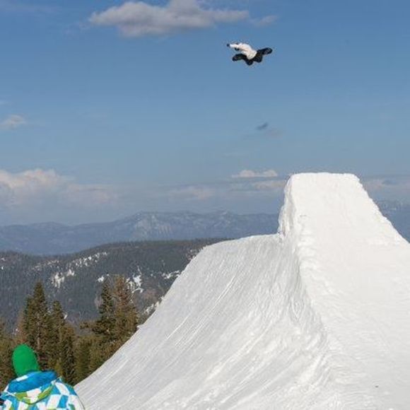 Meet your Posher, Shane - Picture 1 of 1